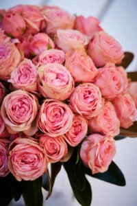 Grand bouquet serré de roses roses aux nombreux pétales. Teintes allant du rose pâle au fuchsia avec quelques touches pêche.